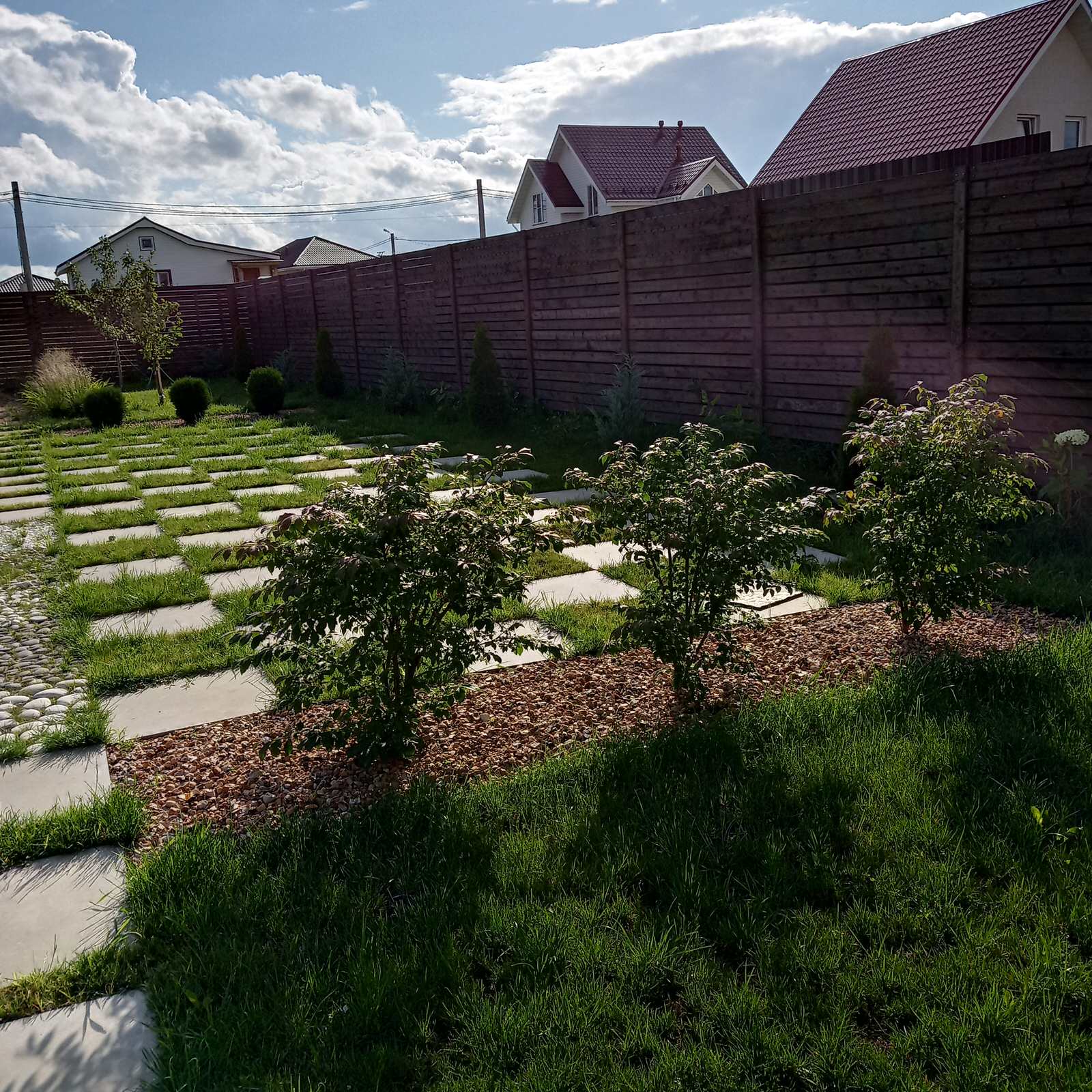 Обложка проекта: Зелёная комната