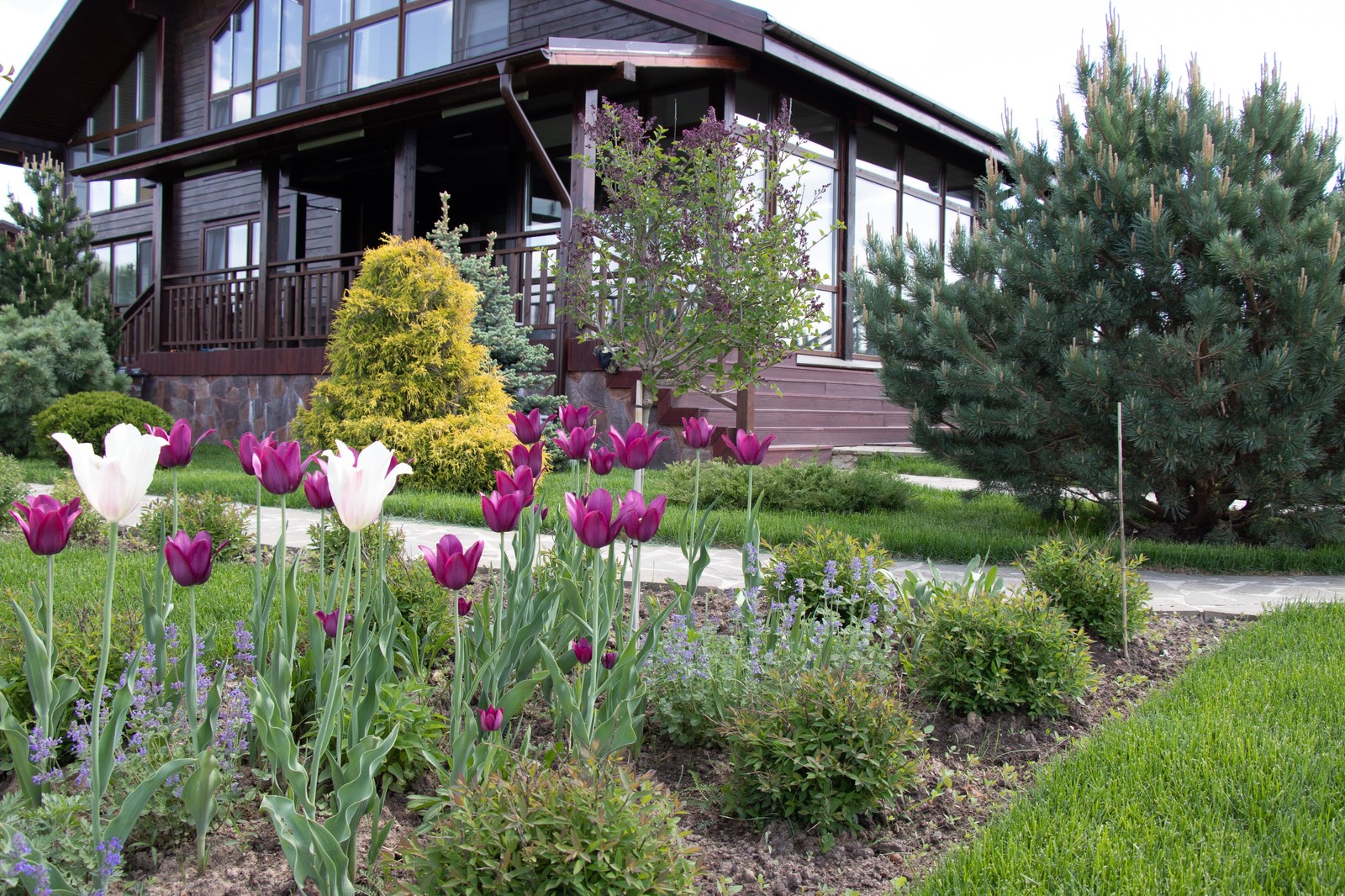 Сосновые берега