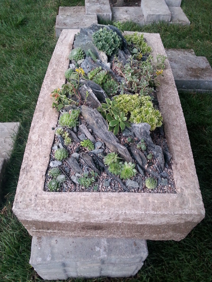 Альпинарии