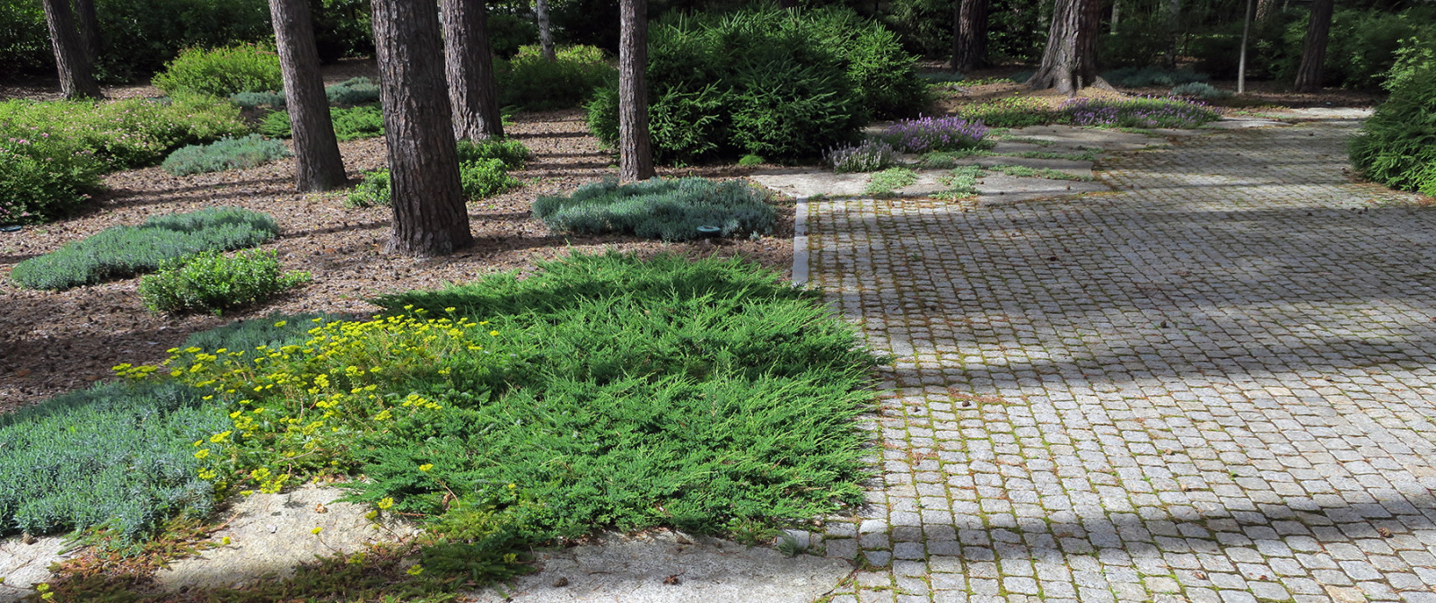 Обложка проекта: Не нужно бояться темноты