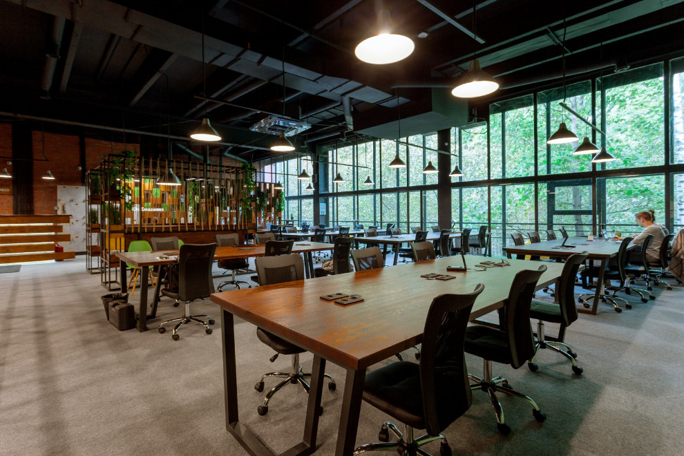 ЭКОСОКОЛЬНИКИ Коворкинг в лесу