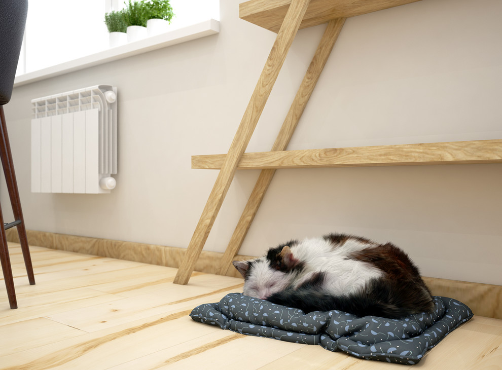 Дизайн проект двухкомнатной квартиры для молодой семьи