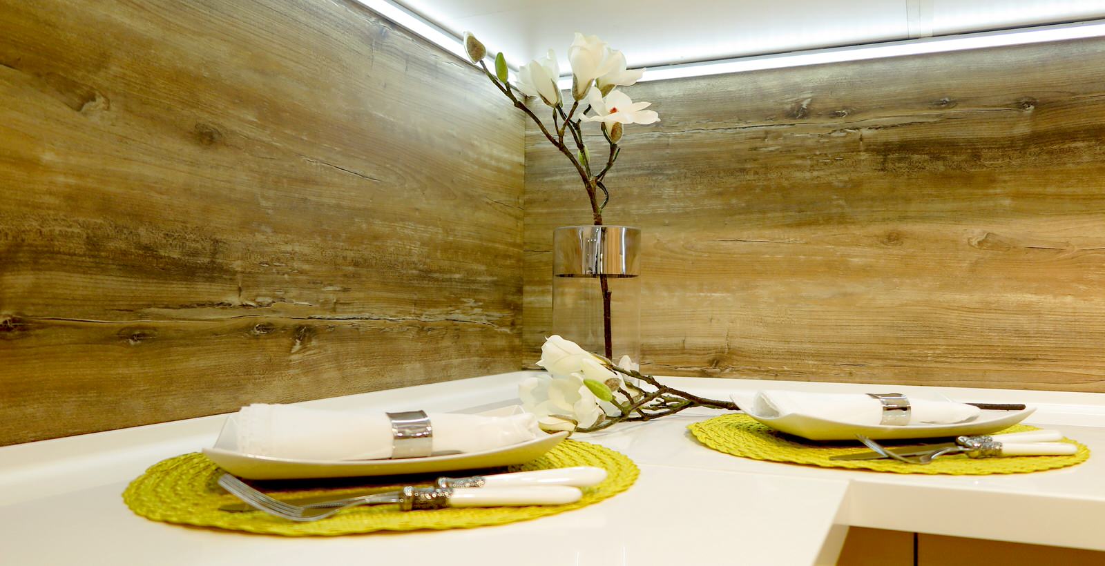 Кухня ПАРМА «Одиссей»