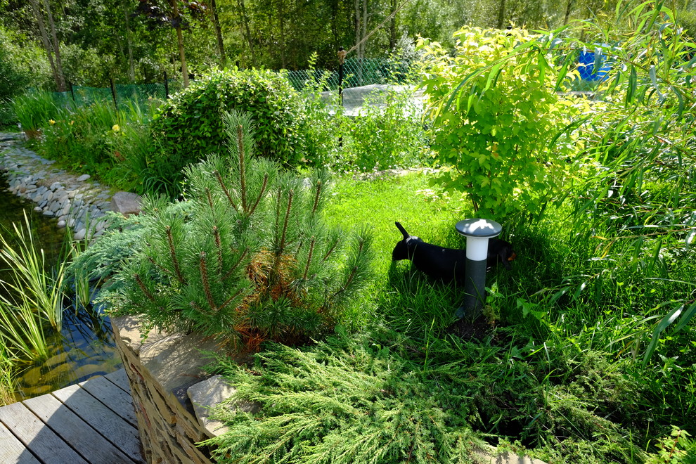 Зеркальный Ландшафтное проектирование