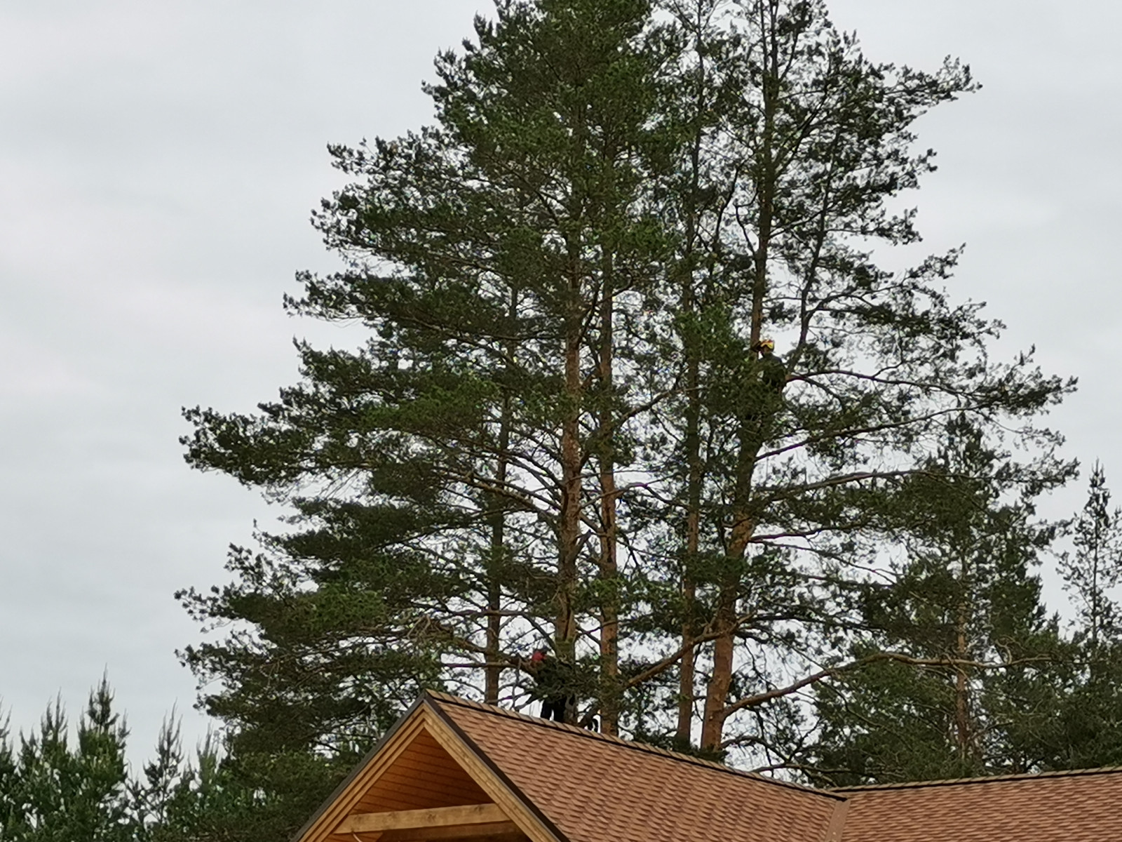 Кундыш– гармоничное и практичное пространство, милый уголок необъятной планеты.