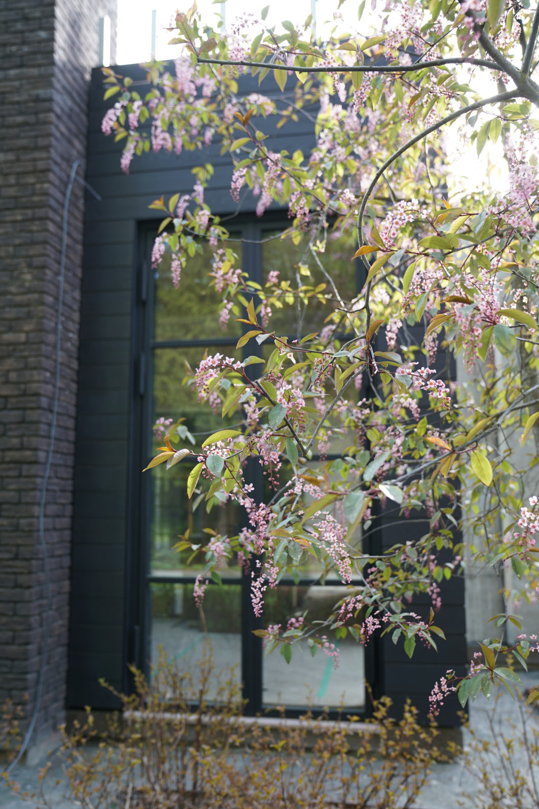 Мэдисон Парк 2022 г