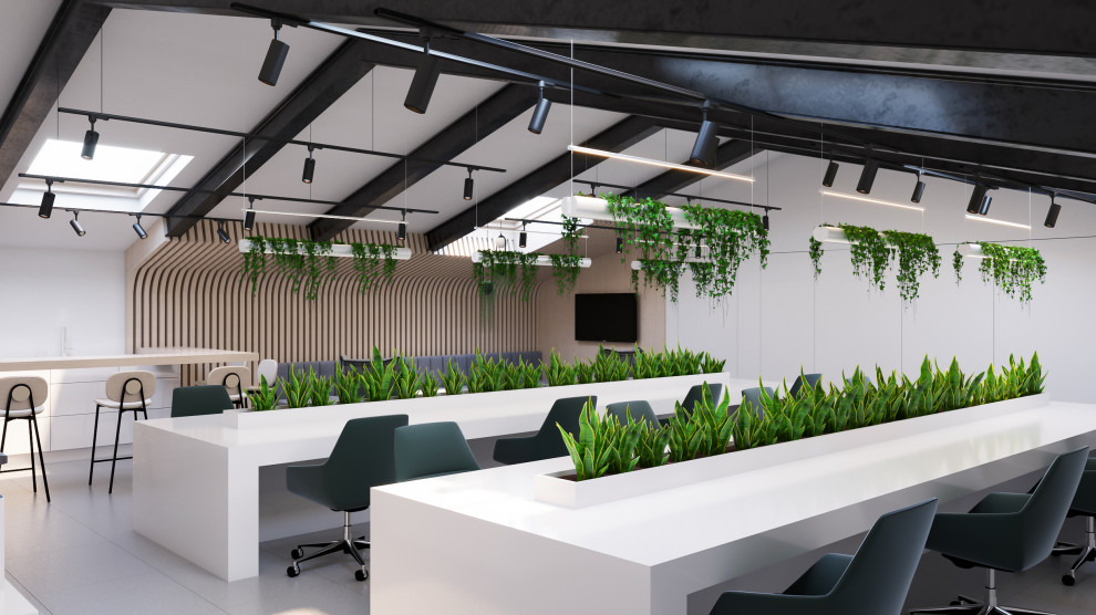 Lola pizza bar - пиццерия, винный бар, и коворкинг в одном лице