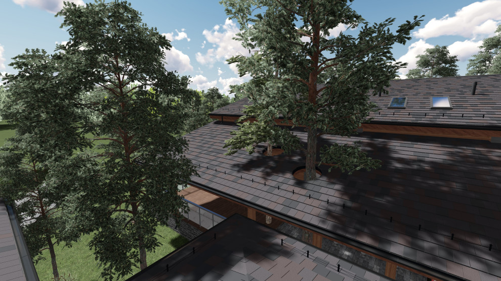 Лесная рапсодия