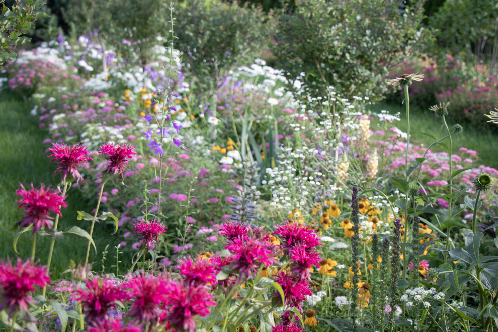 Сосновые берега