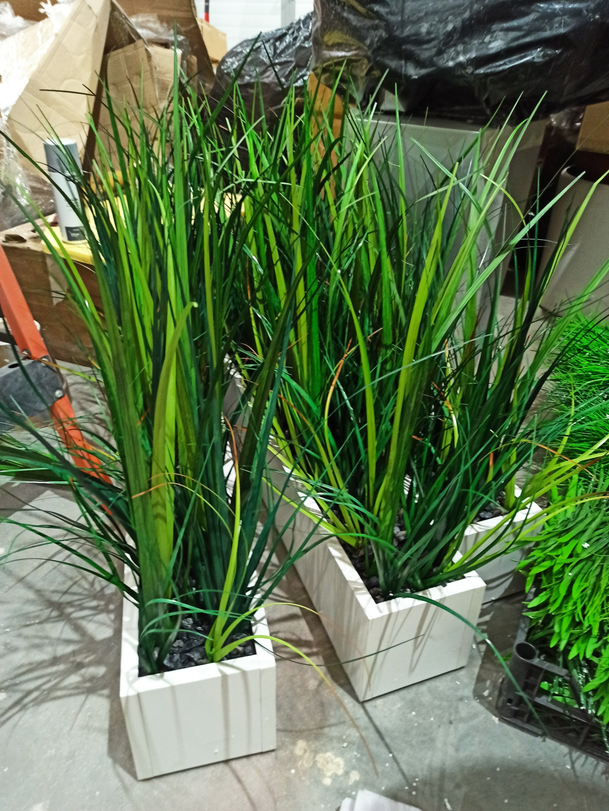 Трава осока (контейнерное озеленение)