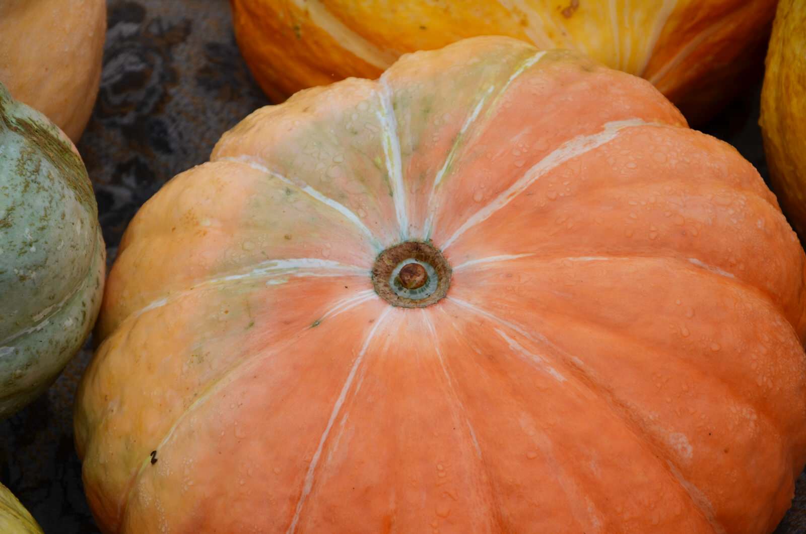 Садовый участок - осень