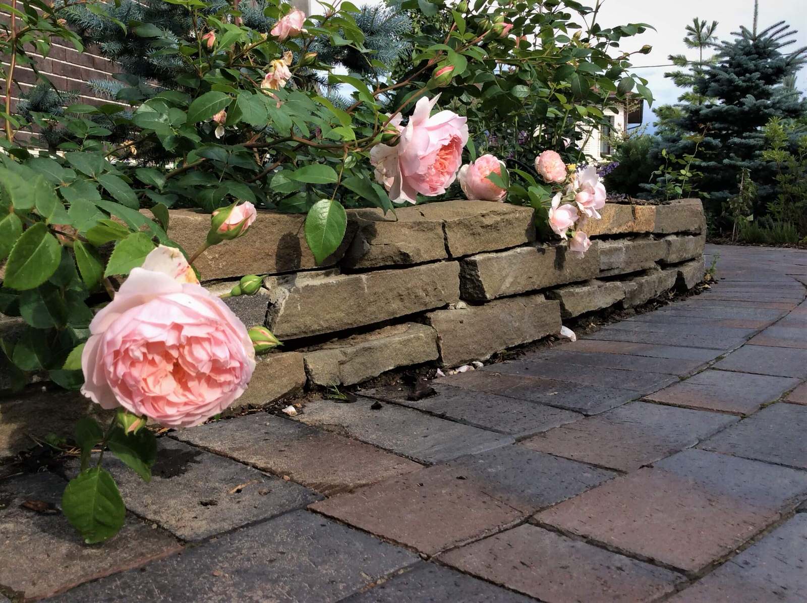 СНЫ О ЧЕМ_ТО БОЛЬШЕМ...