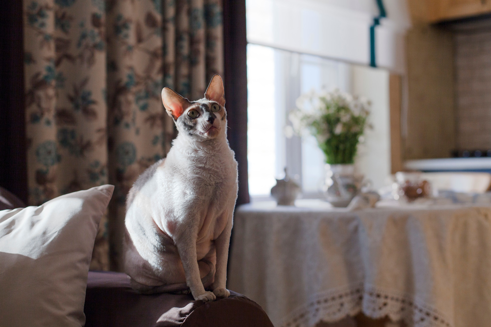 В гостях: Уютная квартира на Октябрьском поле