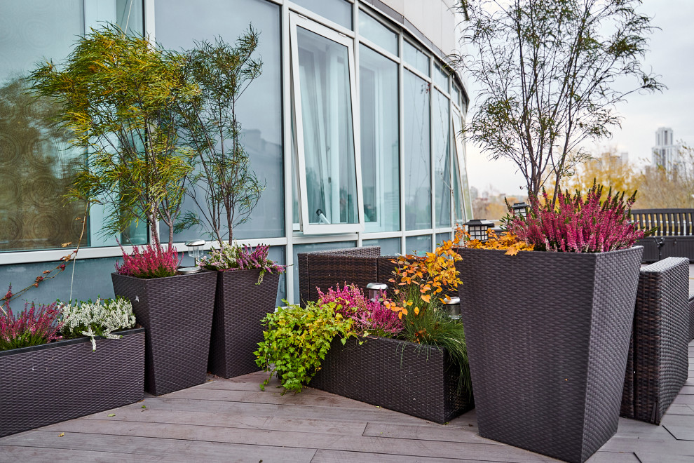 Озеленение террас