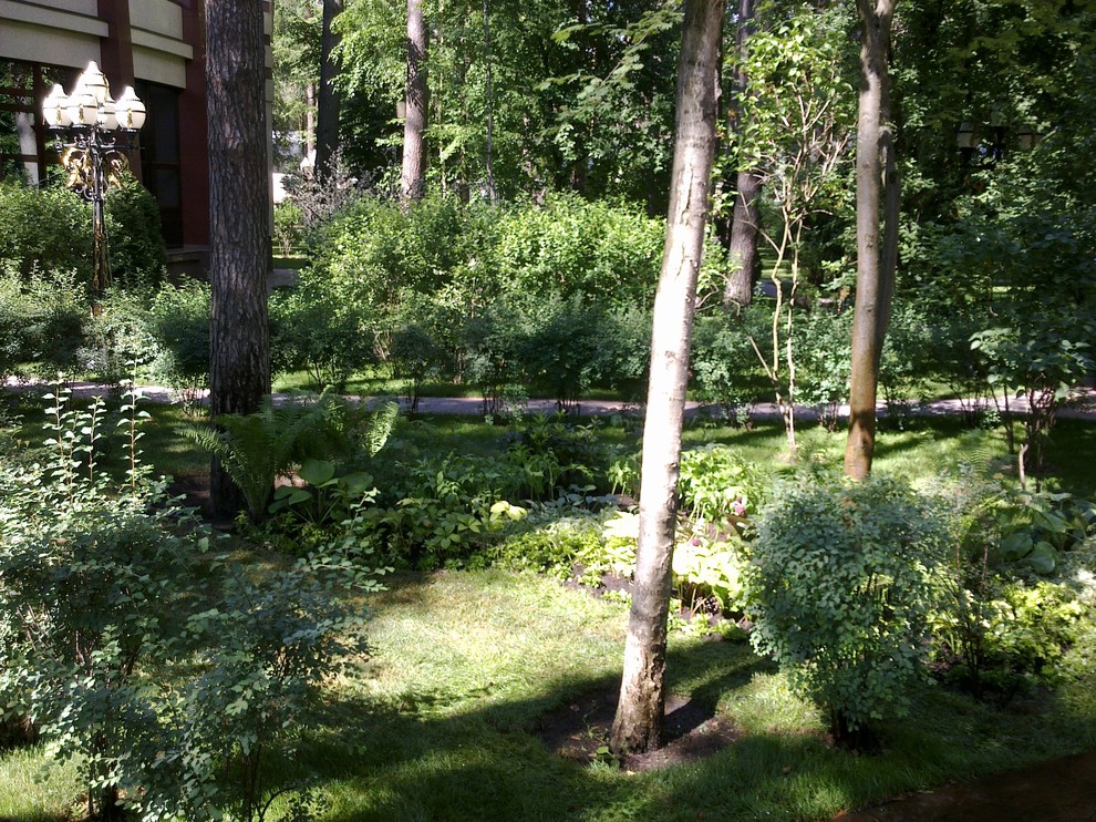 Ландшафтный дизайн 40 соток