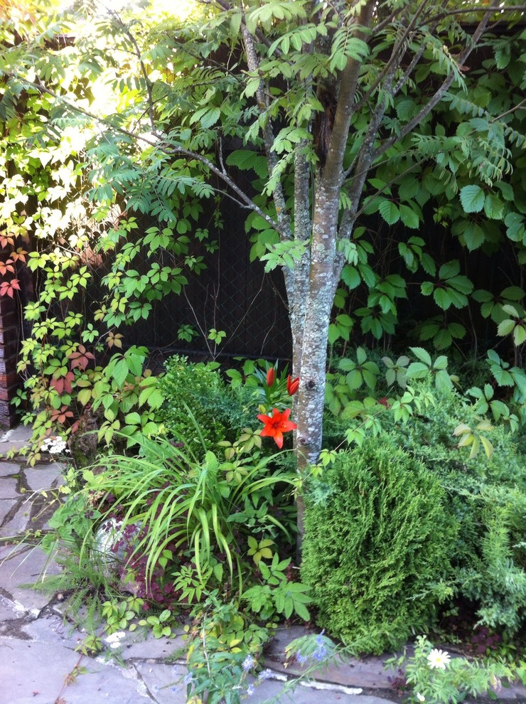 В гостях: Сад на выходные для родителей