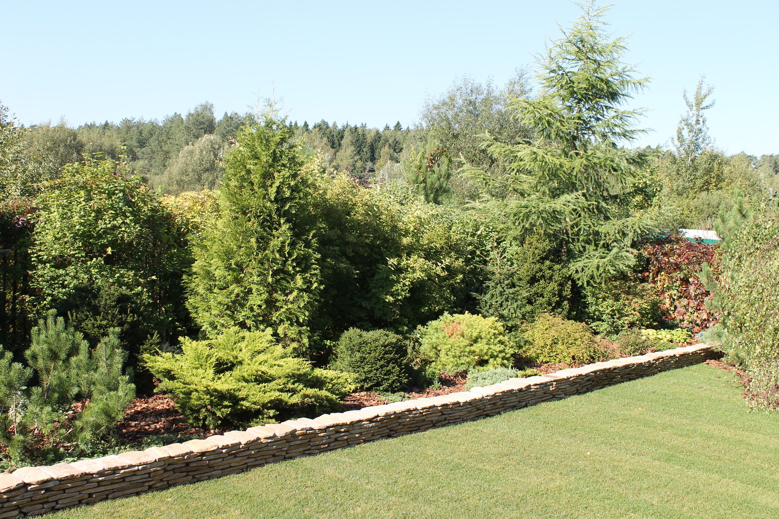 Фоновое изображение профиля Виолетта Штольн