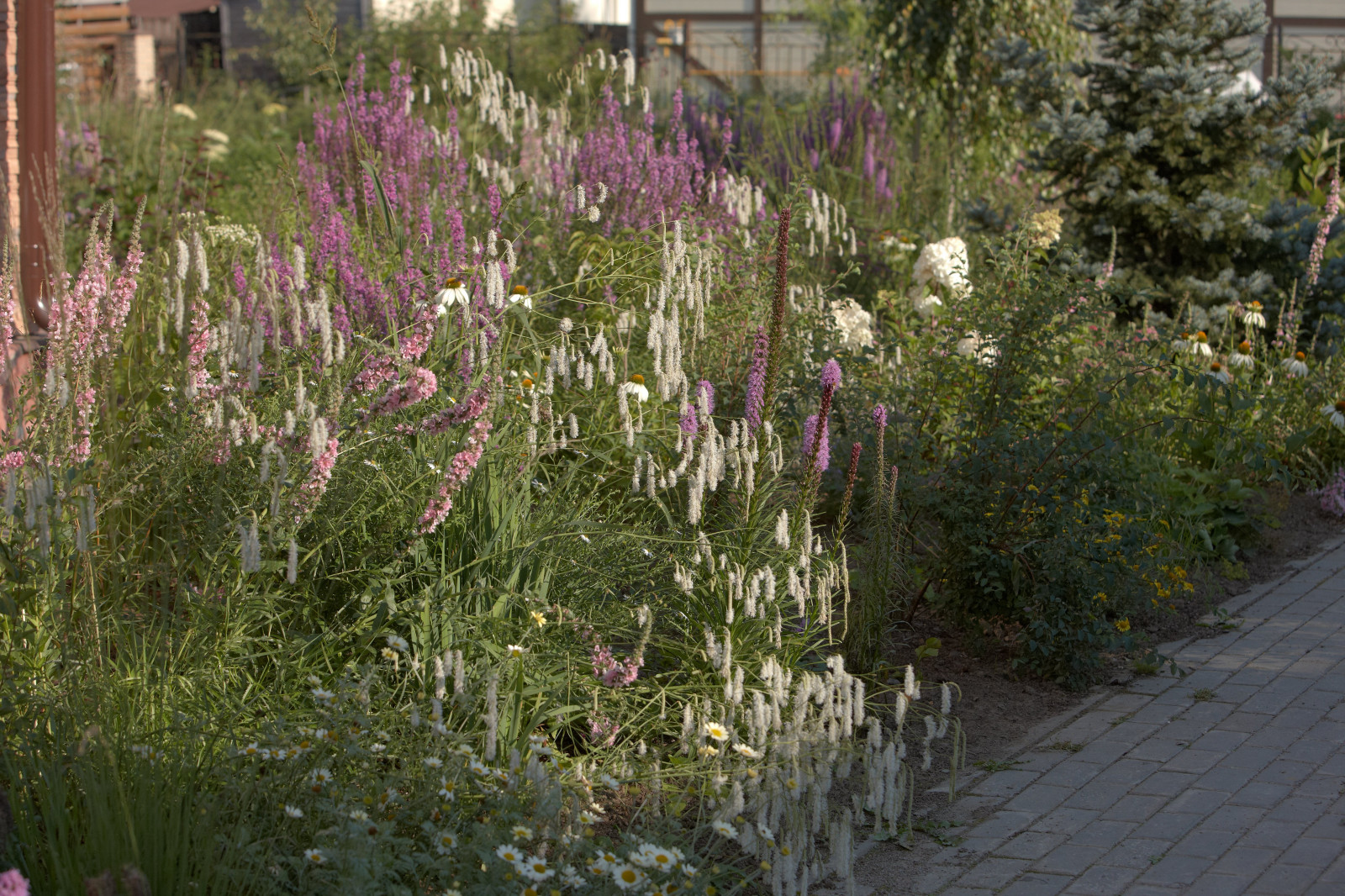 Отражение в каплях росы