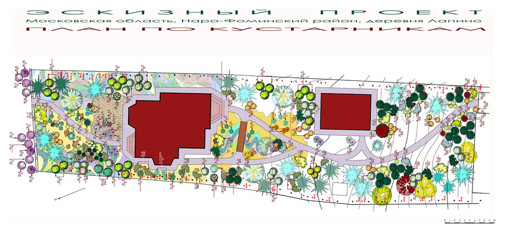 Проект участка - план по кустарникам.