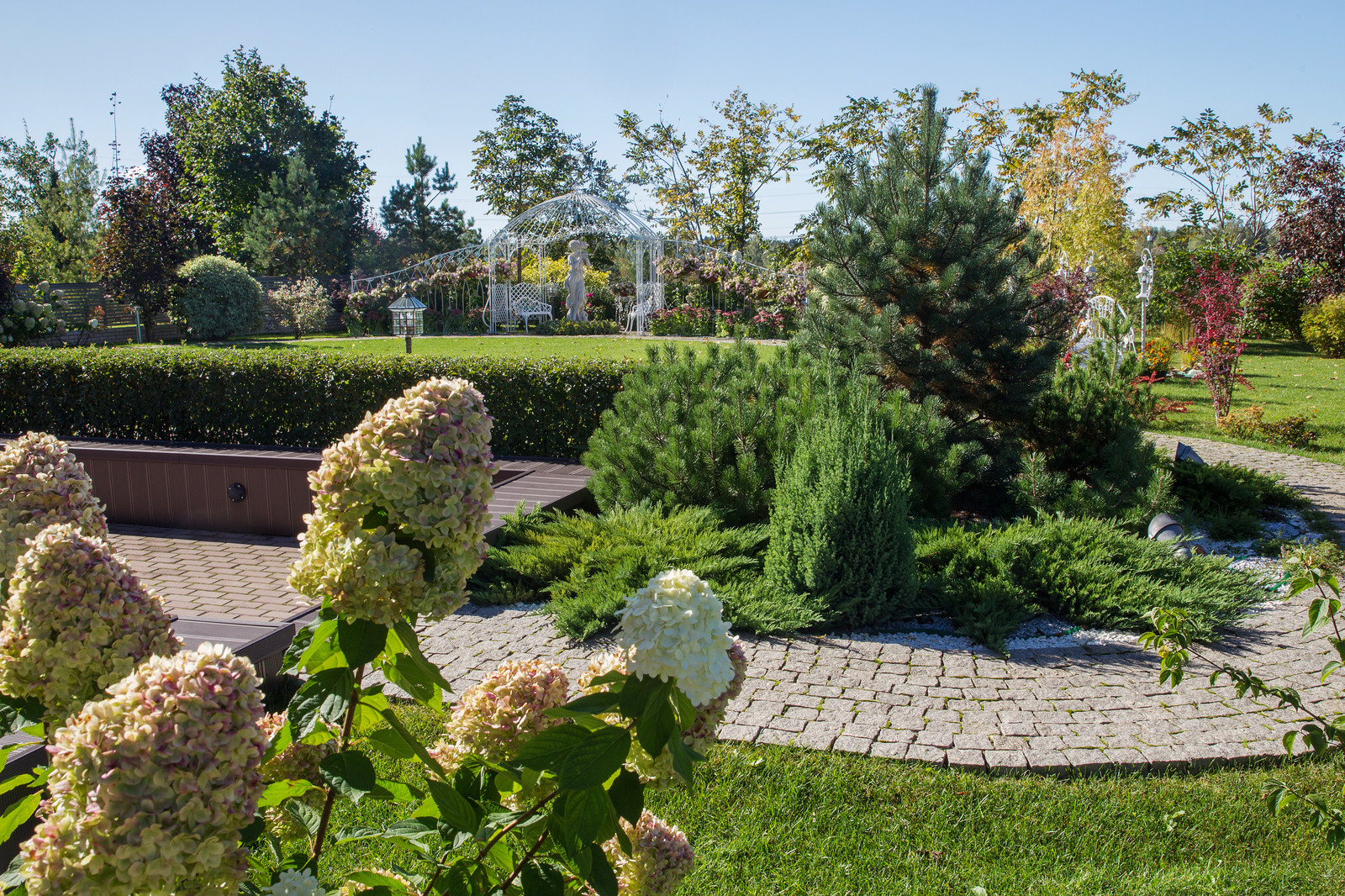 Сад на Пятницком шоссе.  Дизайнер Лариса Юрова