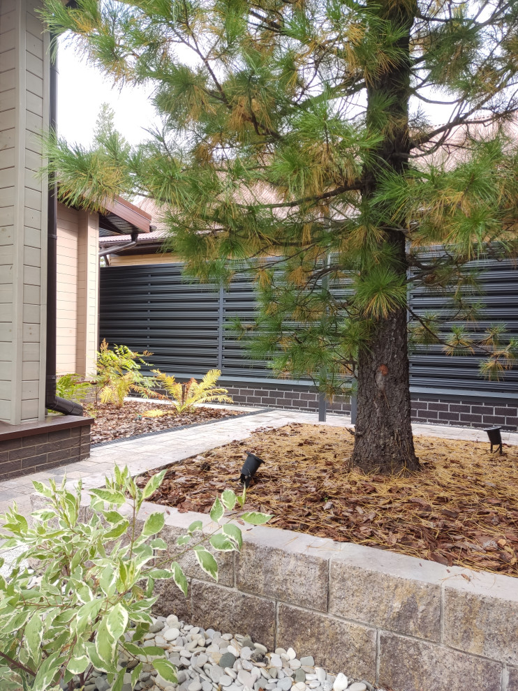 Денис Светлый Яр