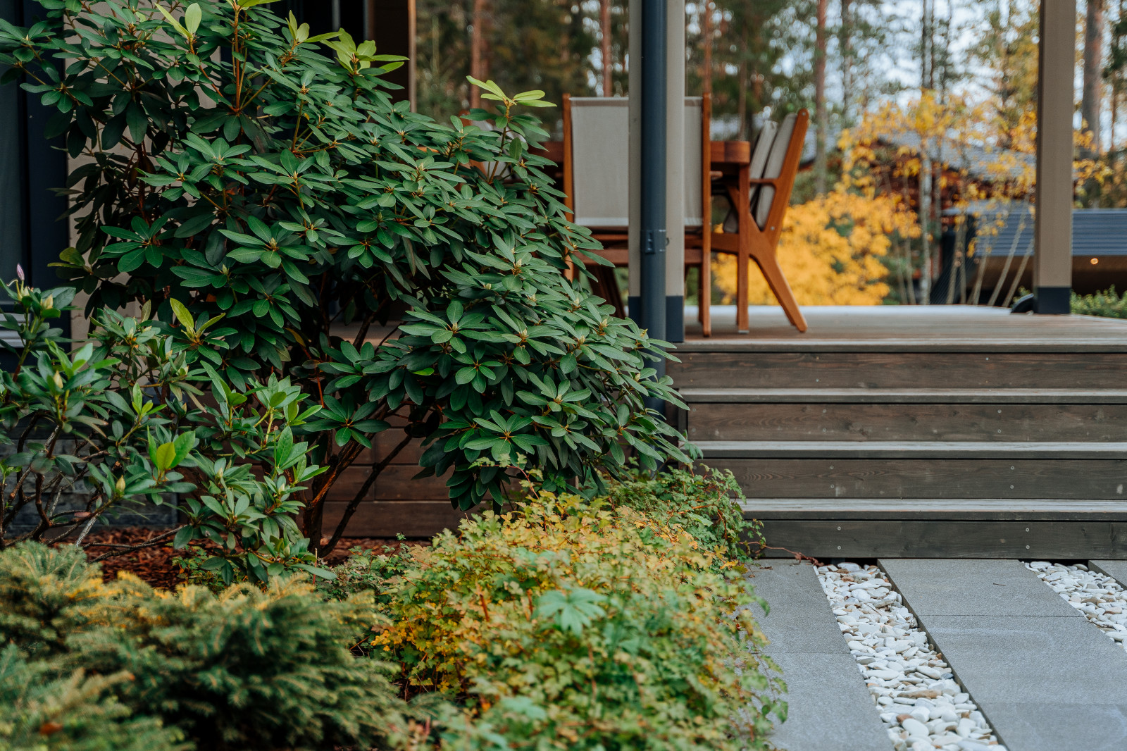 Северный сад