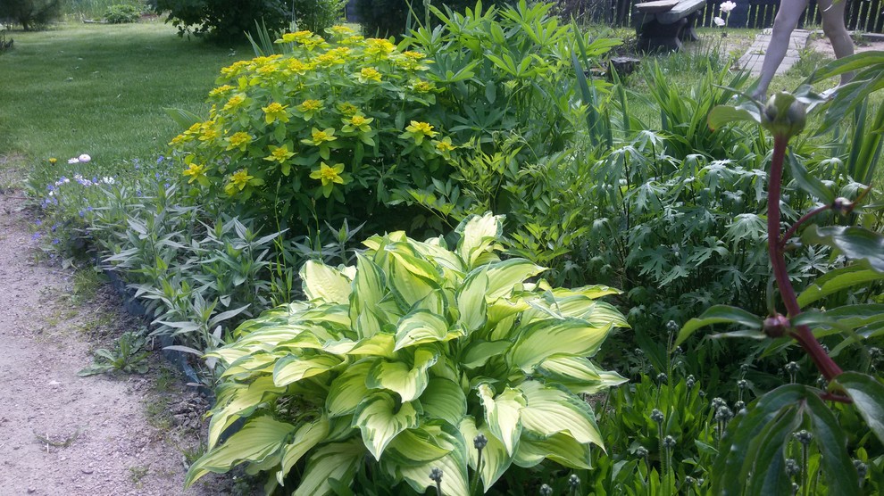 Усадебный семейный сад