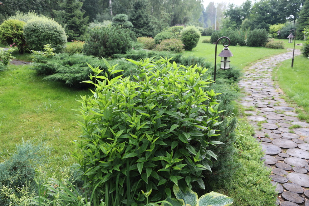 Загородный клуб