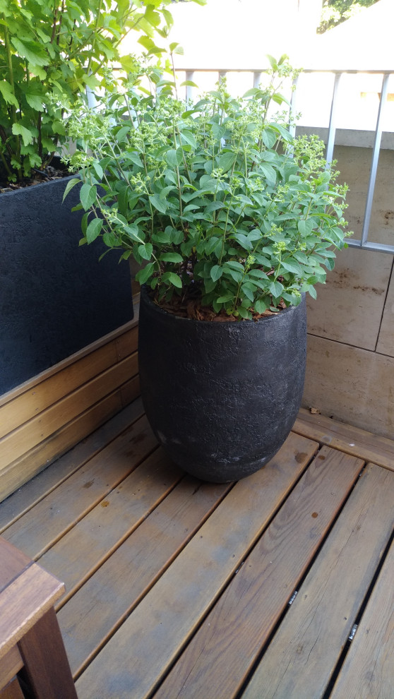 ЖК "Литератор"