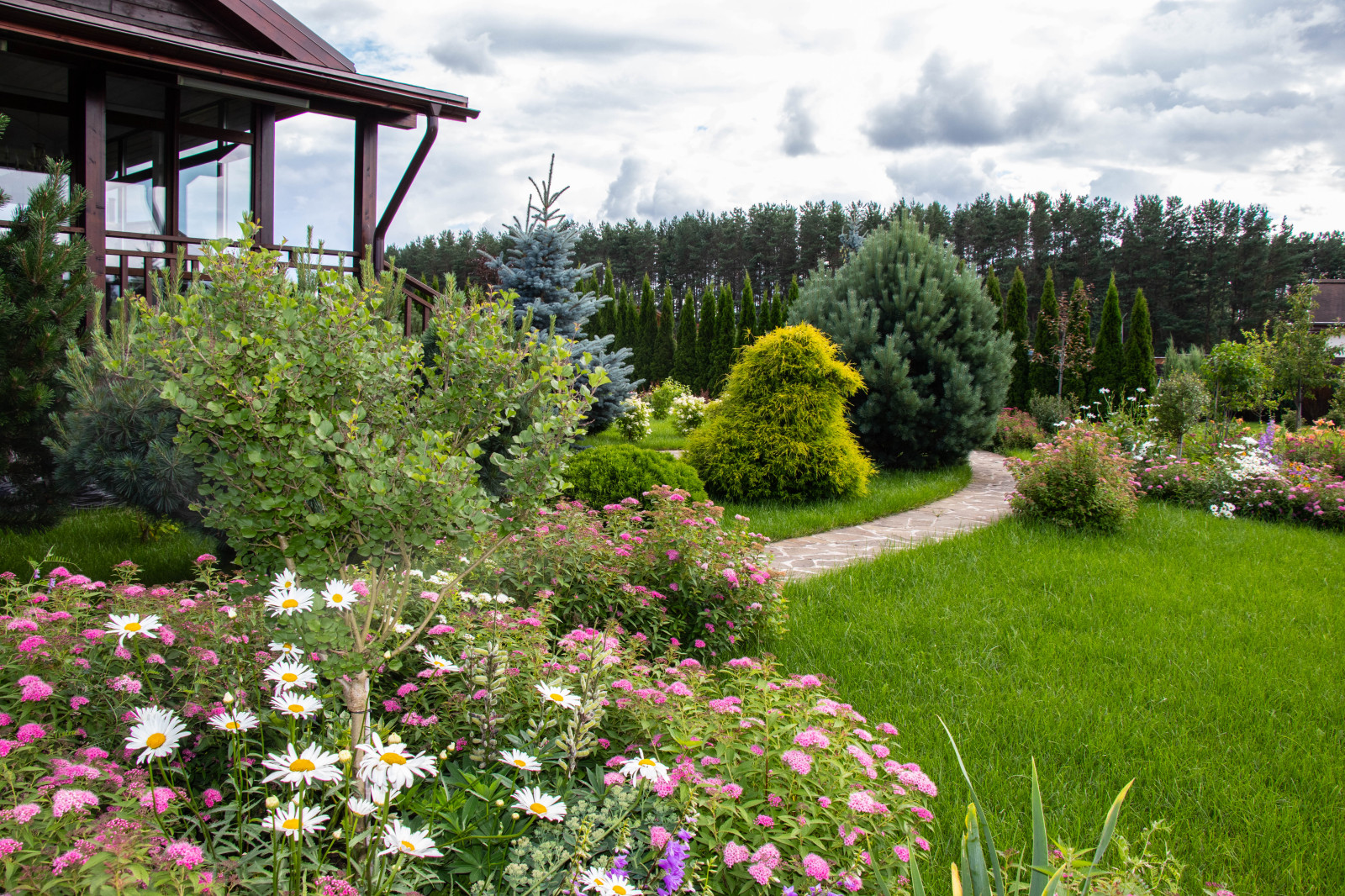 Сосновые берега