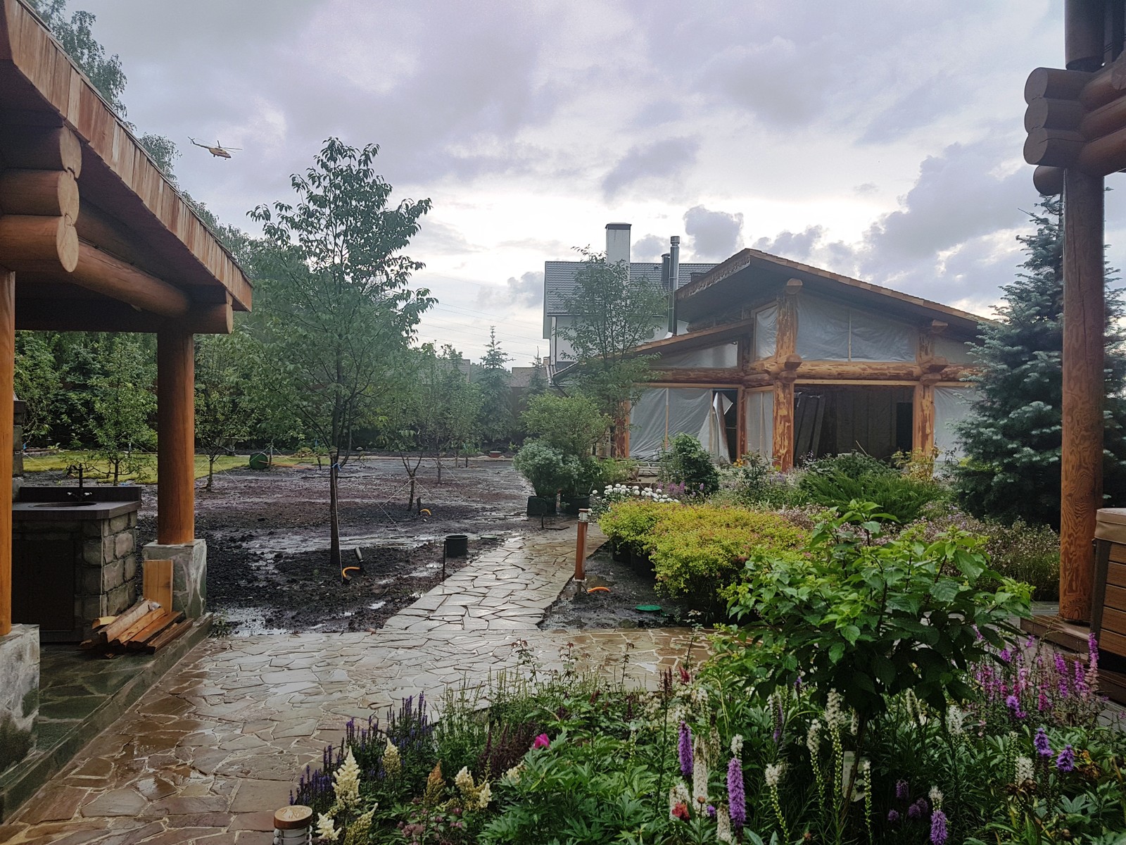 Планировка участка и посадка Елей