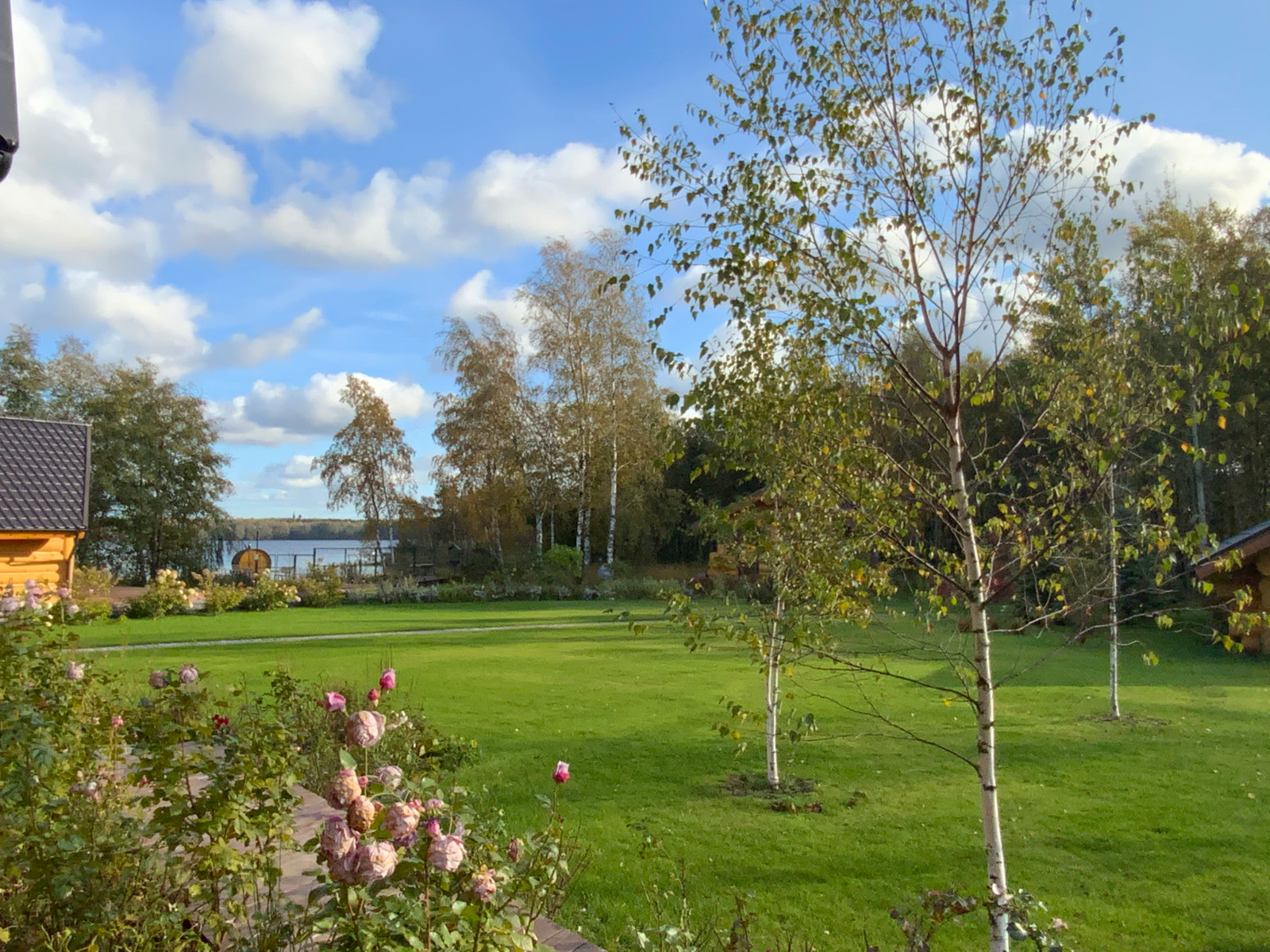 Деревенский сад