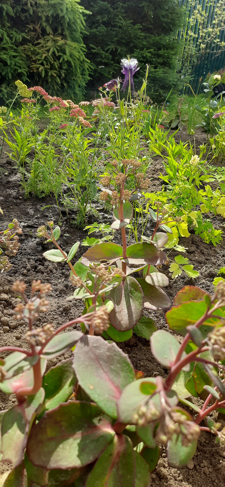 Реализация