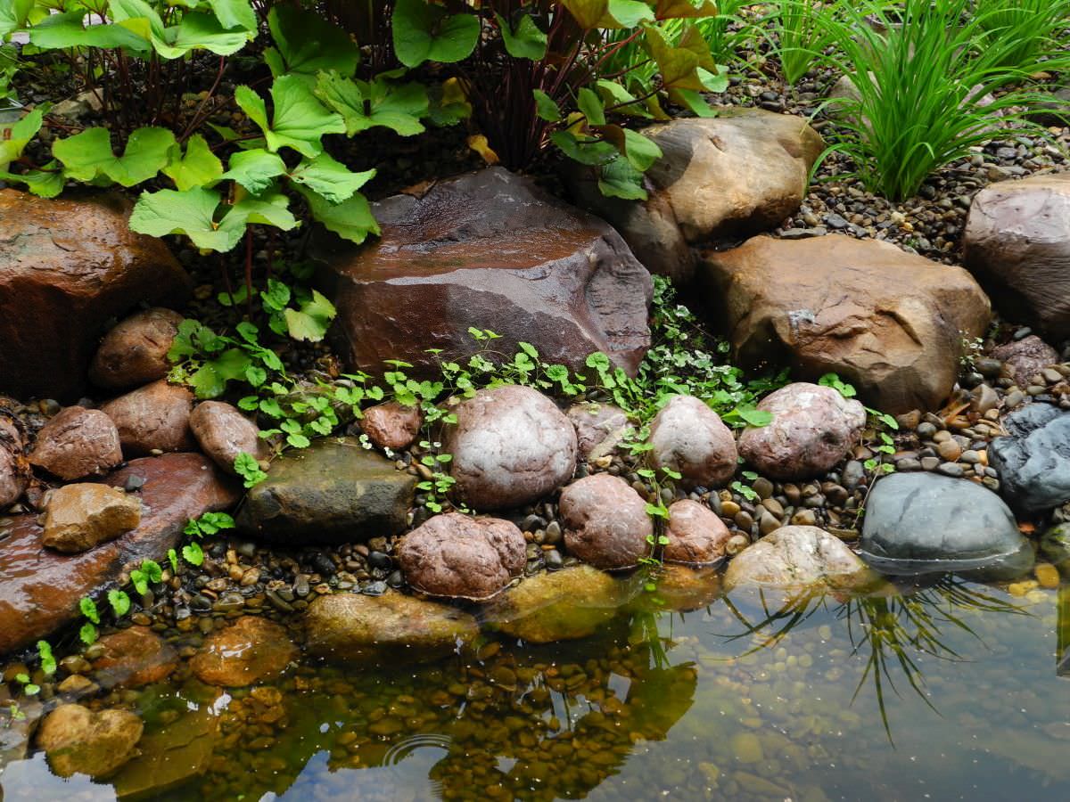 Водоём на участке