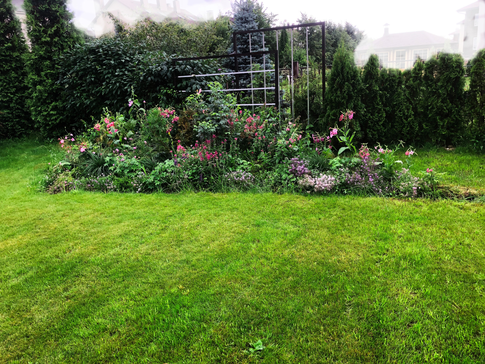 Обложка проекта: Монохромный розовый цветник