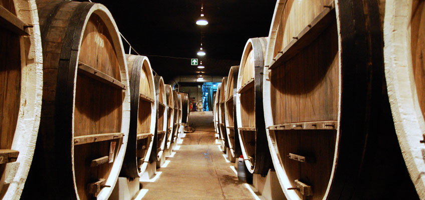 Обложка проекта: Винзавод