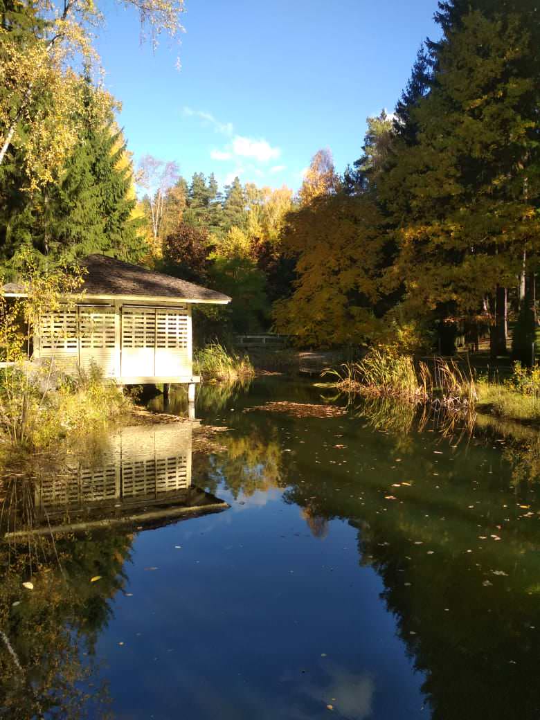 Сад с озером