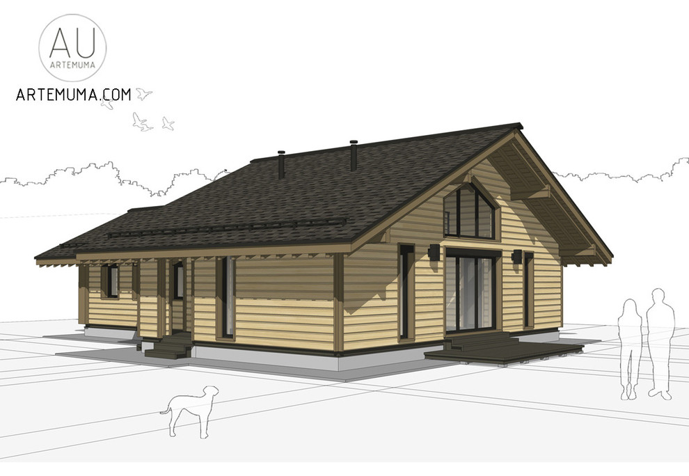 Реконструкция дома в Туле