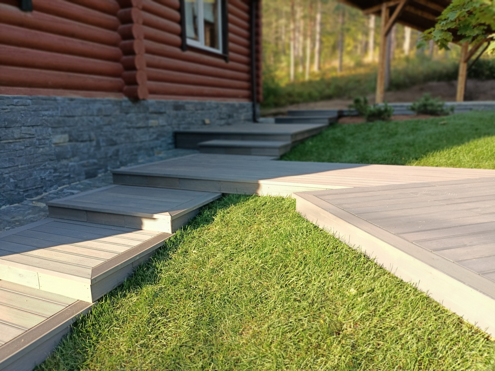 Лесная сказка в Мичуринском