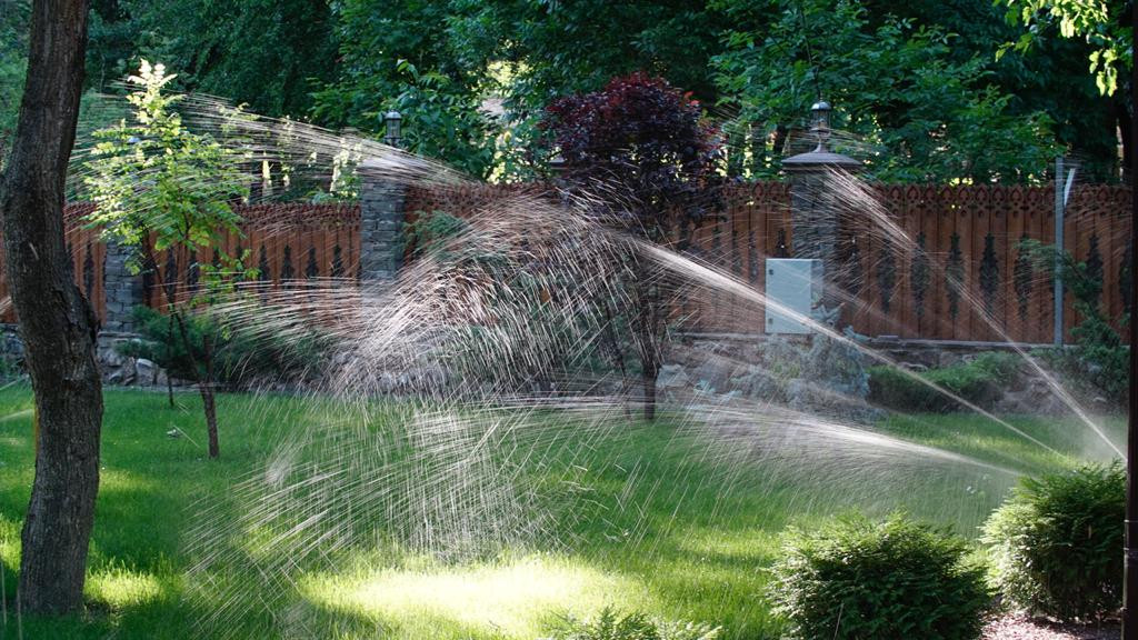 Парк Лога (Ростовская область)