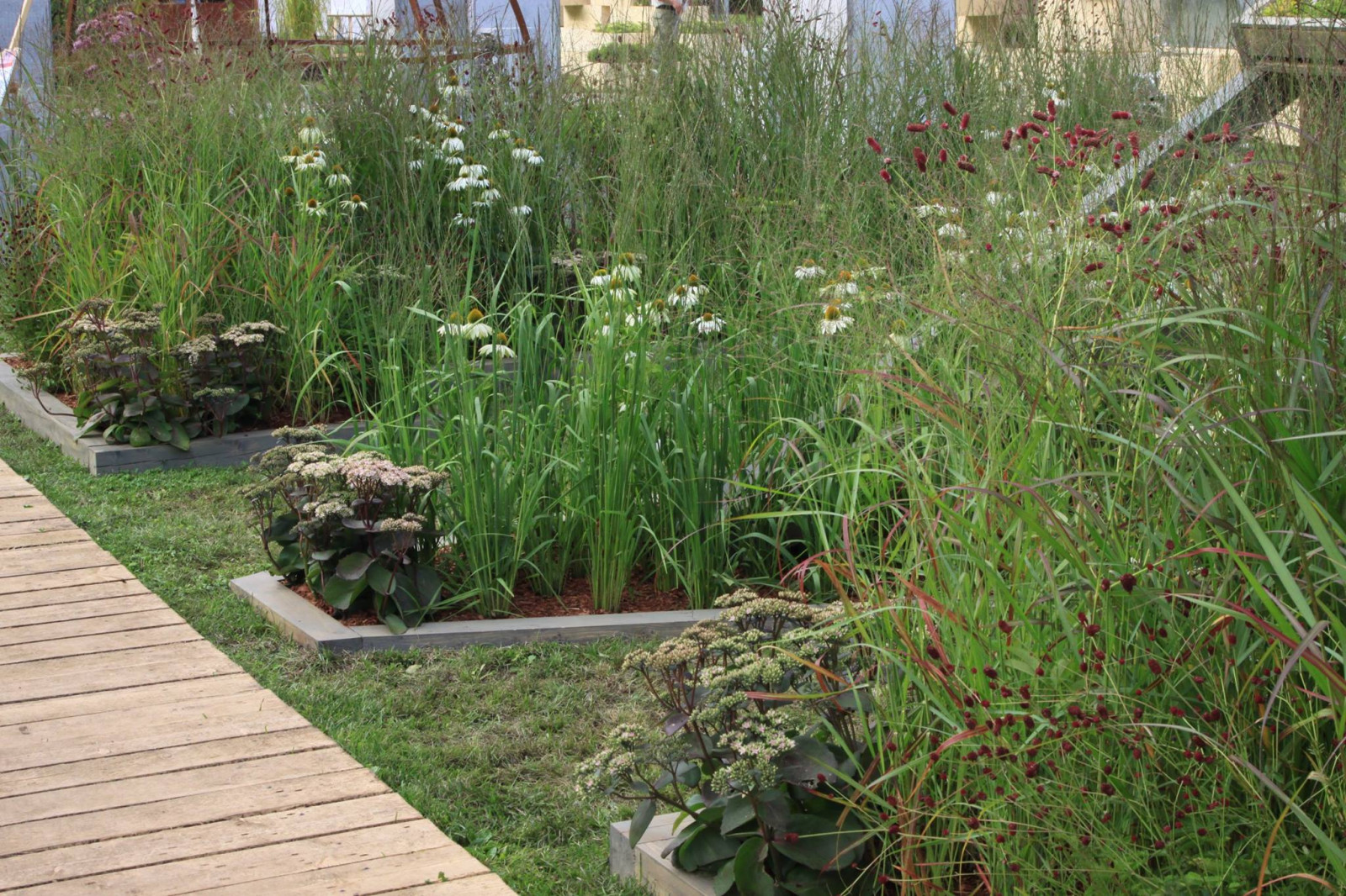 Ольга Пятакова