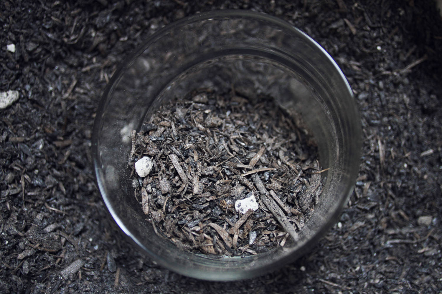 Houzz Австрия: Дом на колесах площадью 25 квадратных метров