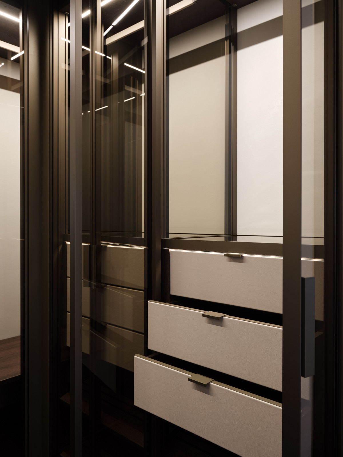 Стеклянная гардеробная система