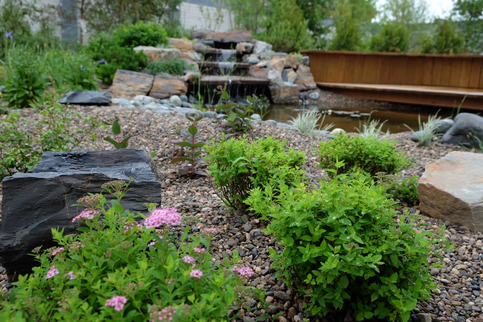 Современный сад