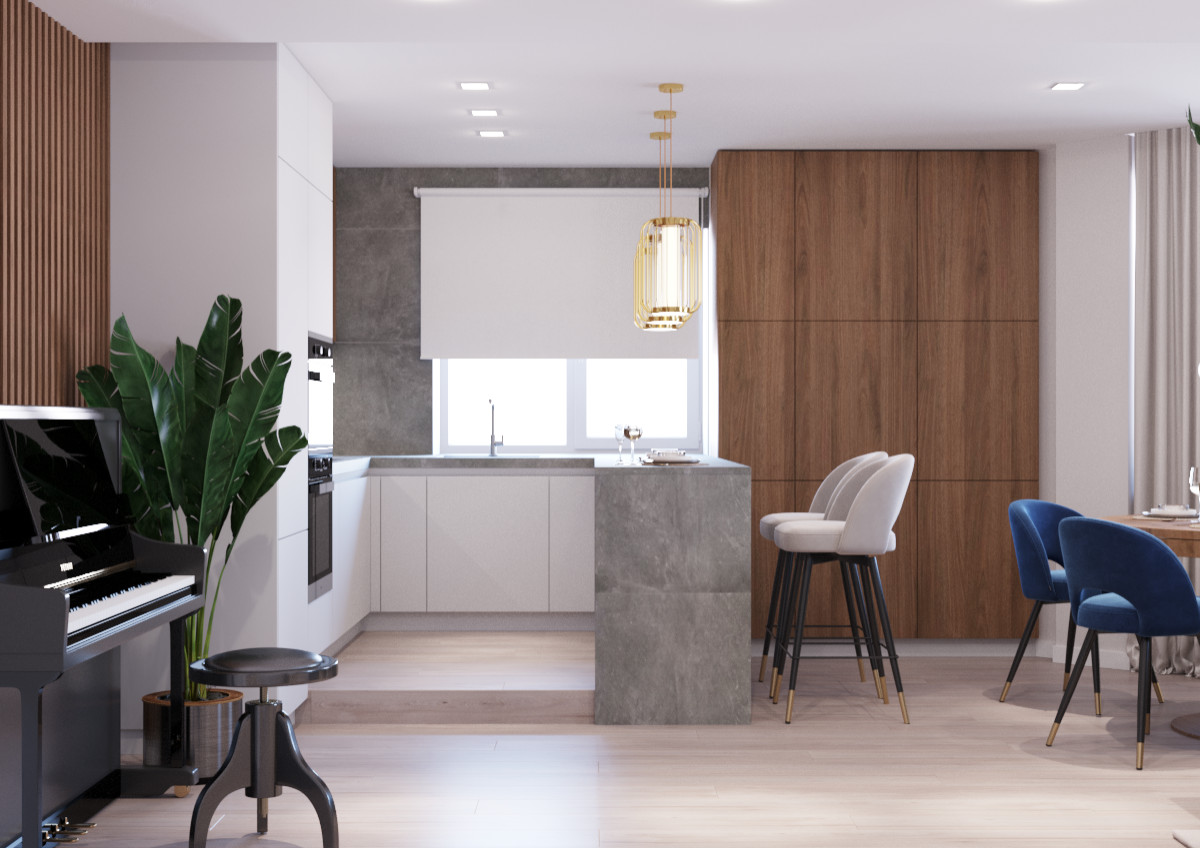 Кухня-гостиная