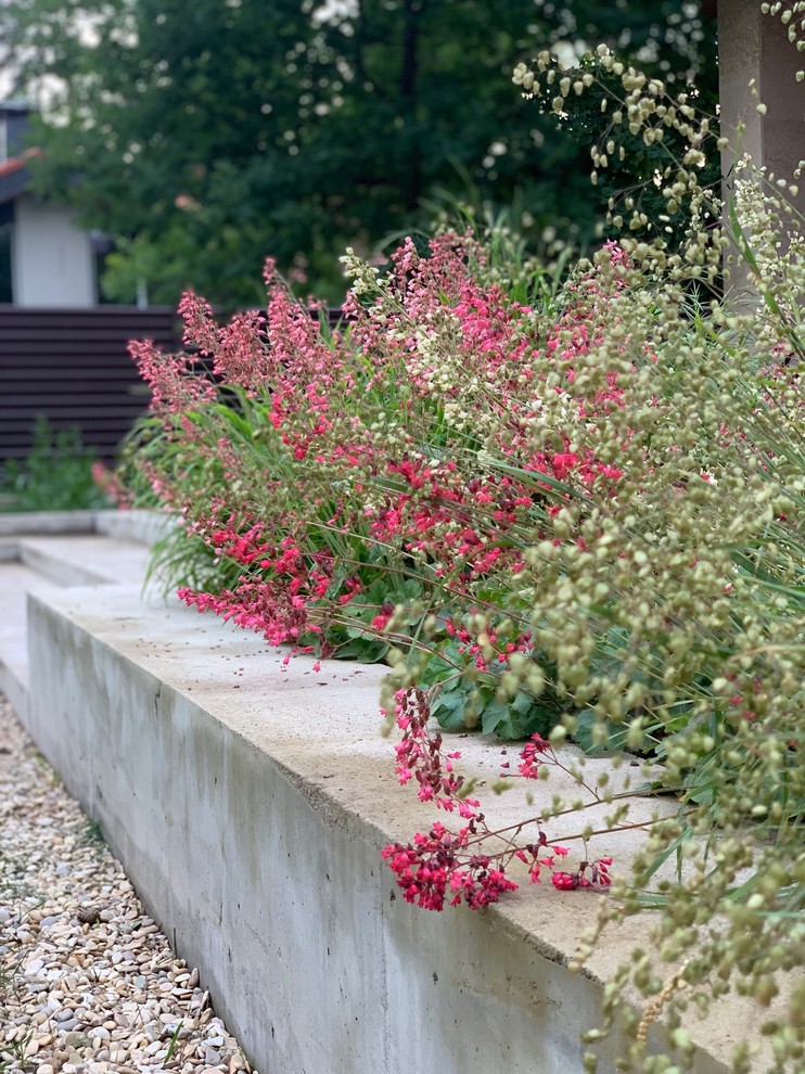 ДНП Ветеран