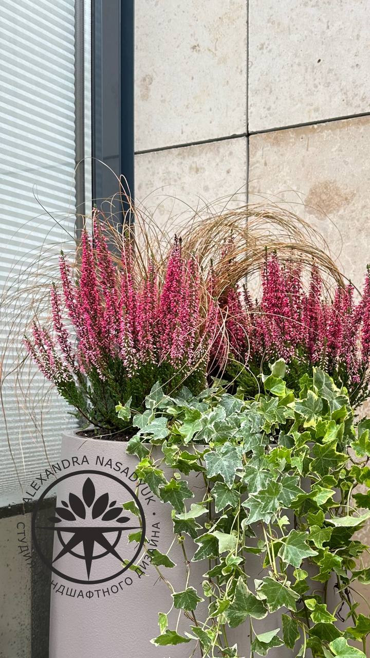 Осеннее оформление