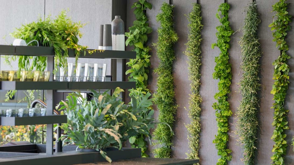 Уроки Chelsea Flower Show: Сад хорошего самочувствия