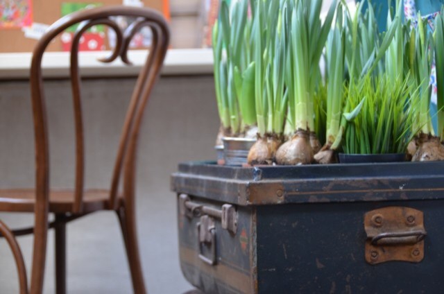 Дачные привычки: Что стоит «взять» с собой в город