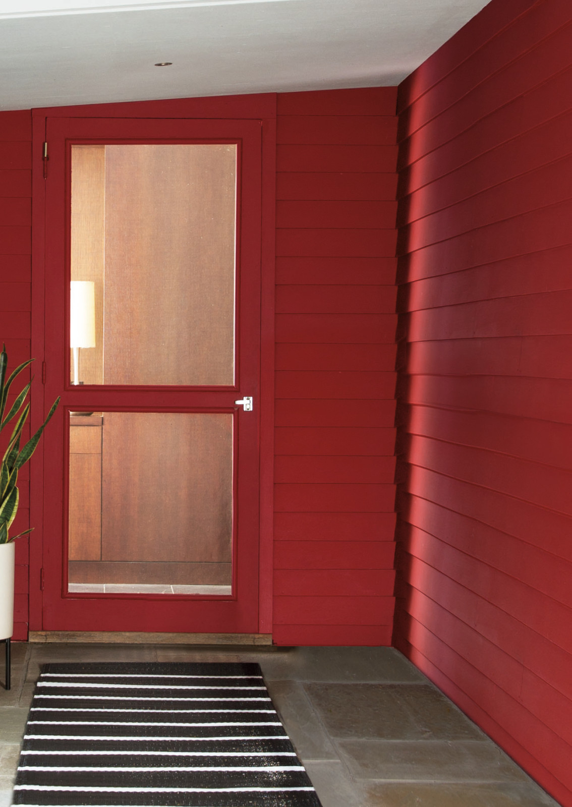 Цвет года 2018 (Caliente AF-290)